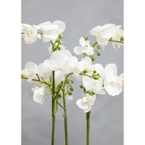 White Orchid In Plant Pot 52CM - Image 5