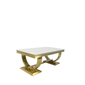 ariana gold coffee table