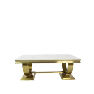 ariana gold coffee table