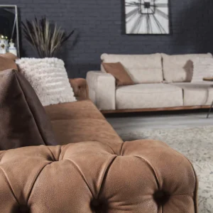 A luxurious leather sofa bed, showcasing comfort and elegance with its rich leather upholstery and versatile functionality.