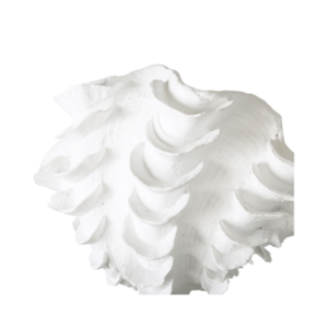 A 48cm white shell ornament, elegantly designed with intricate details, perfect for adding a touch of coastal charm to any room.