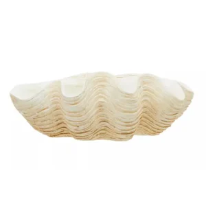 Natura Clam Shell Bowl - Image 9