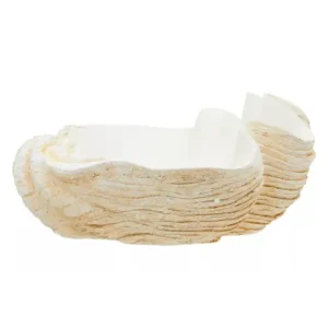 Natura Clam Shell Bowl - Image 7