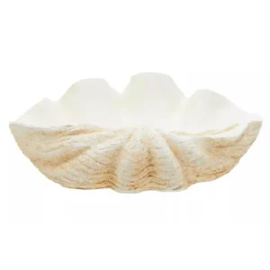 Natura Clam Shell Bowl - Image 5