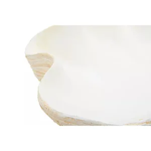 Natura Clam Shell Bowl - Image 6