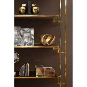 Add a touch of luxury with the Solara 6-Tier Bookshelf. Featuring a gold-finished stainless steel frame and six black glass shelves for a luxe vibe. (