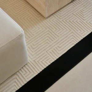 Full view of the Labyrinth Border Rug with a modern geometric design and bold black border.