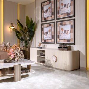Belize TV Unit - Image 4